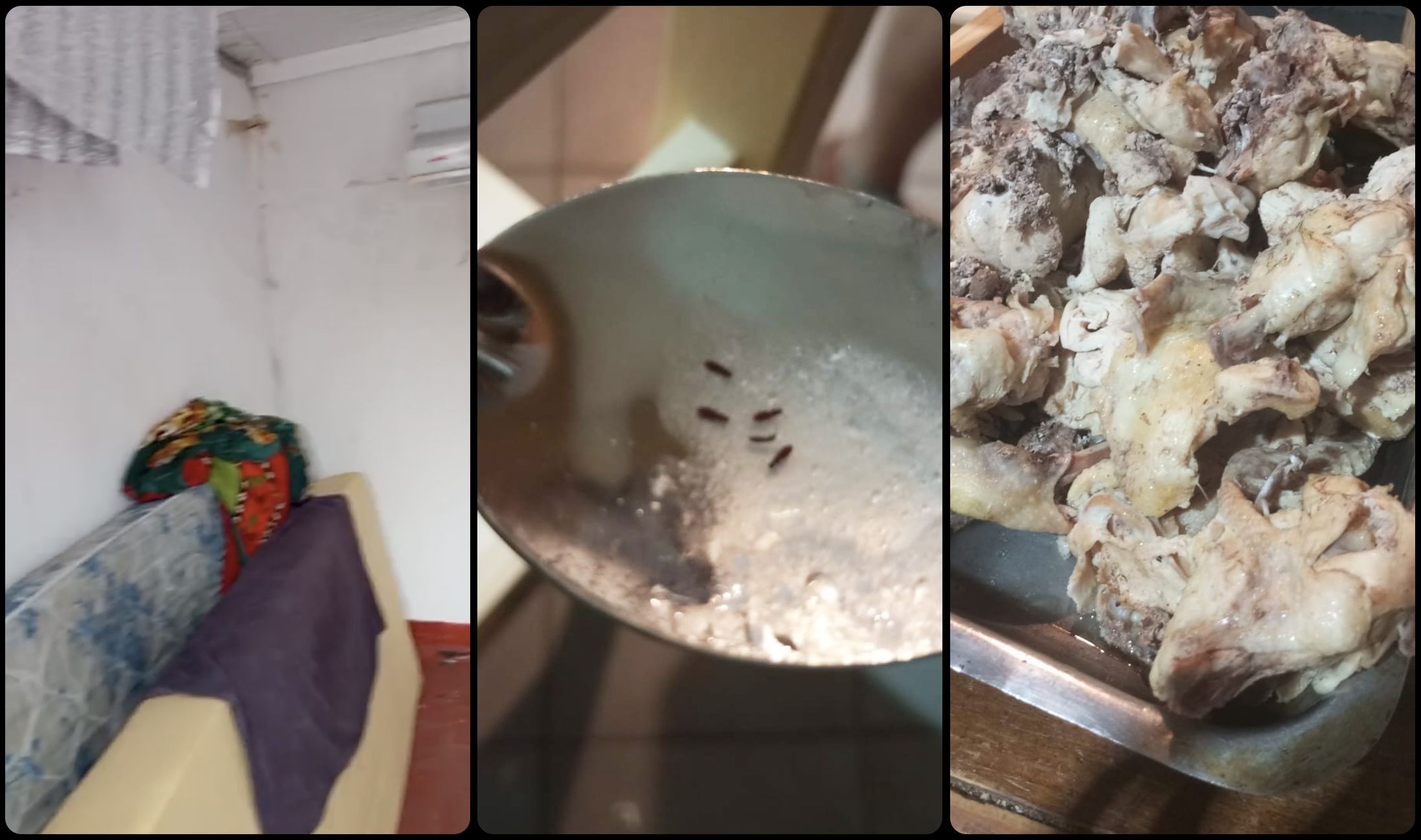 阿根廷足球青训暗面:天赋工厂背后的残酷系统